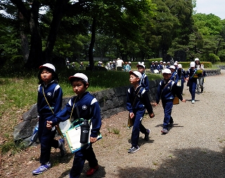 いわてもり 県営運動公園で 樹木 植物観察会 盛岡市立城北小学校３年生